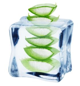 skin glow ice cubes made with frozen aloe vera gel for calming and hydrating skin