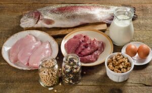 daily protein carbs and fibre intake